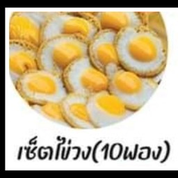 เซ็ต ไข่วง10ชิ้น