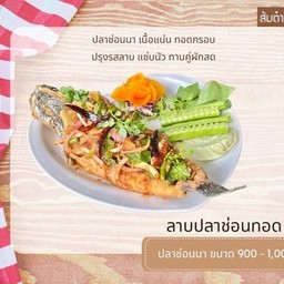 ลาบปลาช่อน  လတ်ပါဆောင့် ငါးဆောင့်သုတ်