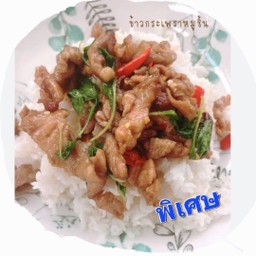 ข้าวมันกระเพราหมูชิ้น/หมูสับ(พิเศษ)