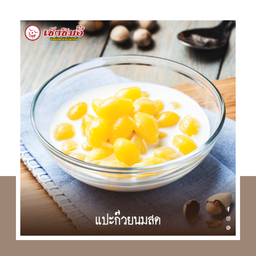 แปะก๊วยนมสด