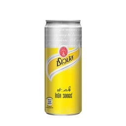 ชเวปส์ โทนิค วอเตอร์ (กระป๋องร