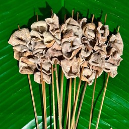 ไส้ใหญ่