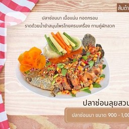 ปลาช่อน ลุยสวน  ပါဆောင့် လွေးဆုံ