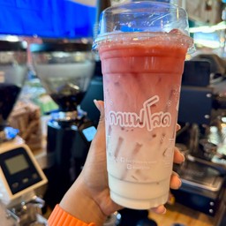 ชานมกุหลาบ