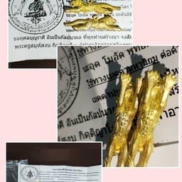 เสือปืนแตกพิมพ์เล็ก บารมี 97 หลวงปู่แย้ม วัดตะเคียน จ.นนทบุรี ปี 2556