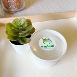 นายโคโค่ ไอศกรีมกะทิสด