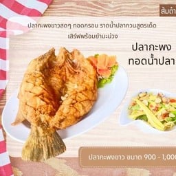 ปลากะพง ทอดน้ำปลา  ပါကဖုံးကြော် နမ့်ပါ