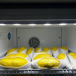 King&Qreen ทุเรียนหมอนทอง