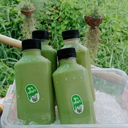 ชาเขียวขวด