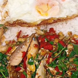 กะเพราปลาทูนึ่งทอดราดข้าว +ไข่ดาว