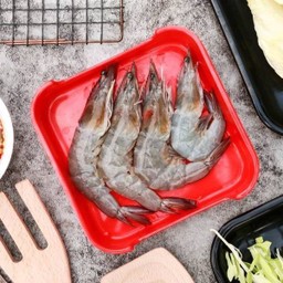 Fresh Shrimp
