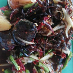 เหลาปูนาดอง