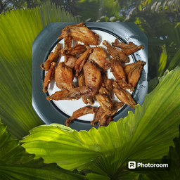 บ้านสวน 666