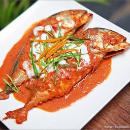 Mackerel In Red Curry Sauce
