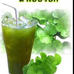 น้ำใบบัวบกขวดใหญ่