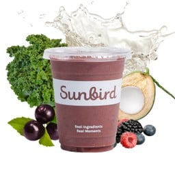 Antioxidant Boost Smoothie