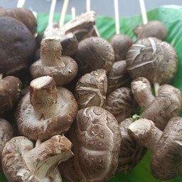 เห็ดหอม