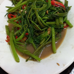ผักบุ้งไฟแดง(s)