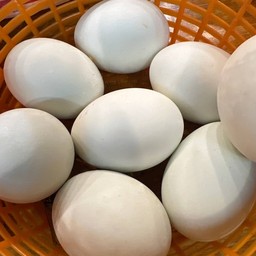 ไข่เค็ม