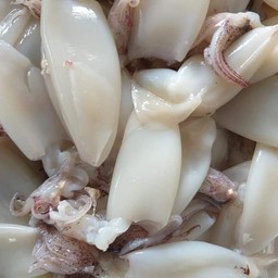 หมึกกล้วย