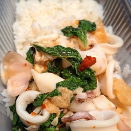 กระเพราปลาหมึกพริกแห้ง