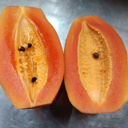 มะละกอ  (เรดเลดี้)