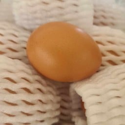 15 Fresh eggs from happy hens