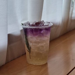Butterflypea & Honey Lemon | อัญชันฮันนี่เลมอน
