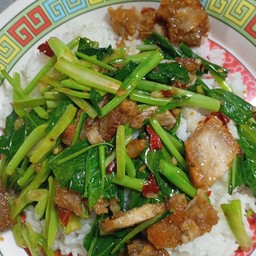 ข้าวราดผัดคะน้า