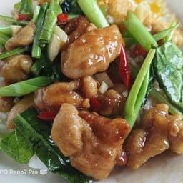 ข้าว+ผัดคะน้าไก่กรอบ