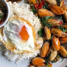 ข้าวกะเพราหอย