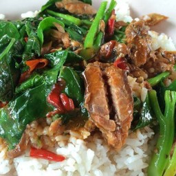 คะน้าปลากระป๋องราดข้าว