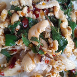 กะเพราไก่