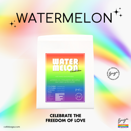 Iced Coffee - Watermelon Blend