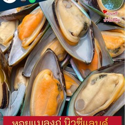 หอยแมลงภู่นิวซีแลนด์