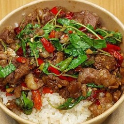 CAT CAN COOK โกลเด้นทาวน์ บางนา-สวนหลวง