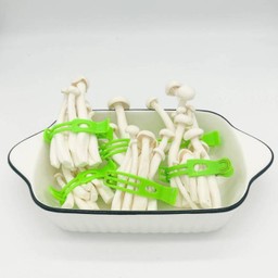 Shimeji Mushroom