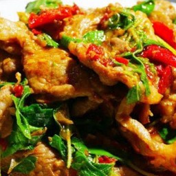 ข้าวราดหมูชิ้นผัดใบโหระพา