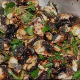 ก้อยหอยเชอรี่