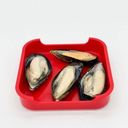 Mussels