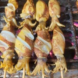 หมึกกล้วยไข่