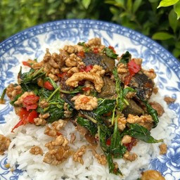 กระเพราไข่เยียวม้า