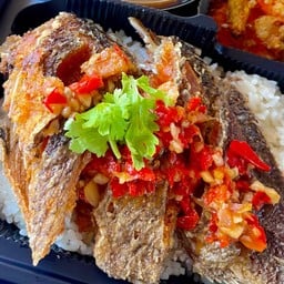 ข้าวปลาราดพริก(ปลาแกะเนื้อ)