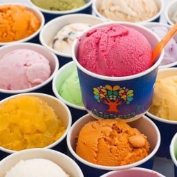 Alahcus Ice Cream Fusion Food ไอศกรีม ขนม และ อาหารฟิวชั่น นวลจันทร์