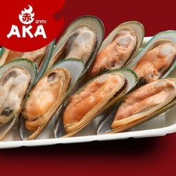 หอยแมลงภู่นิวซีแลนด์