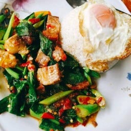 ครัว จ.จานใหญ่ ระยอง
