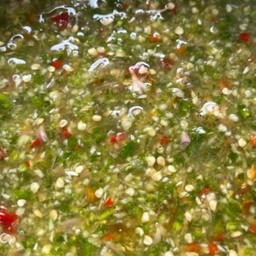 น้ำจิ้มซีฟู้ด