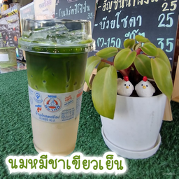 นมหมีชาเขียวเย็น