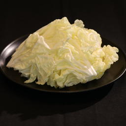 ผักกาดขาว