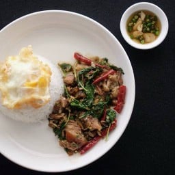 เสวนาขาหมู กะเพราขาหมู